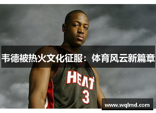韦德被热火文化征服：体育风云新篇章